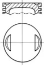 WILMINK GROUP wg1176013 -  